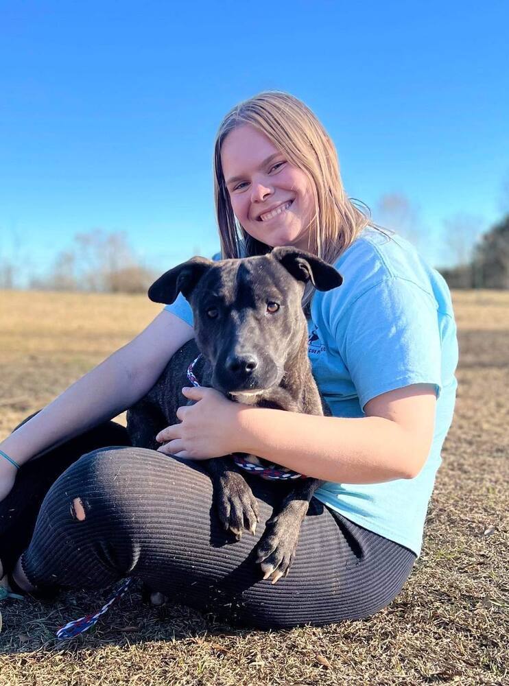Heath, an adoptable Mountain Cur in Troy, AL, 36081 | Photo Image 2