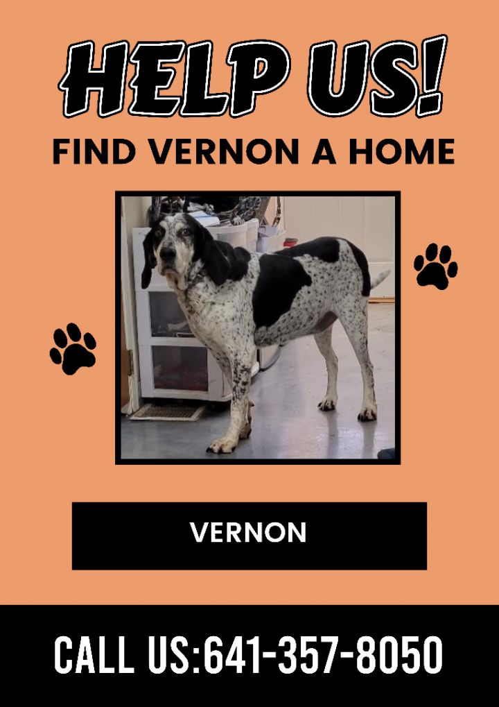 Vernon 1