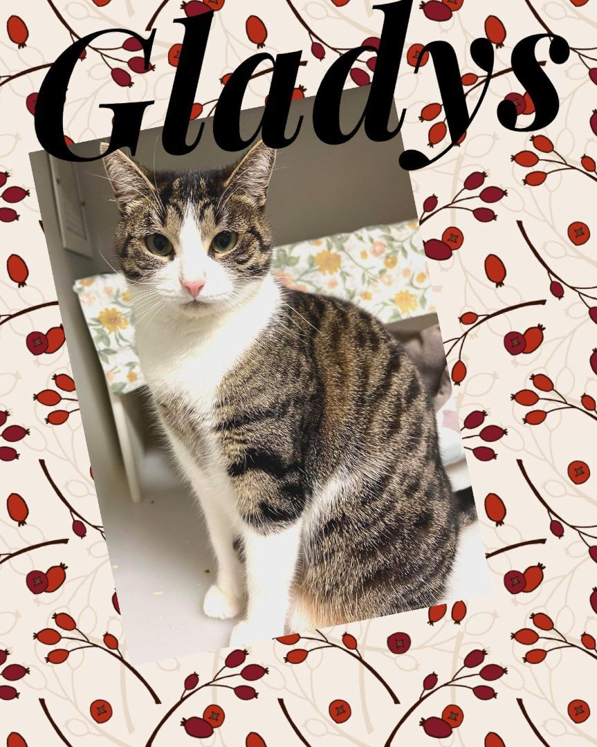 Gladys