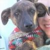 Cassie Puppy - Adoption Pending!!