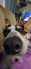 Parker photo 5