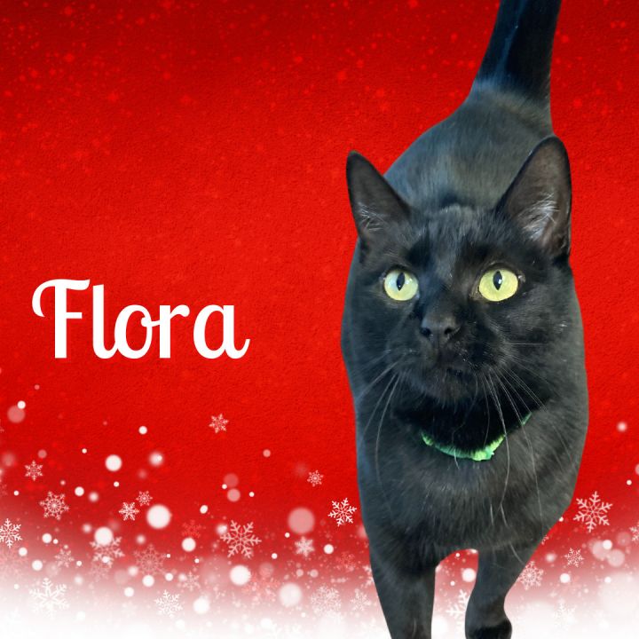 Flora 1