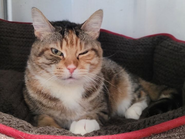 Mimi 1