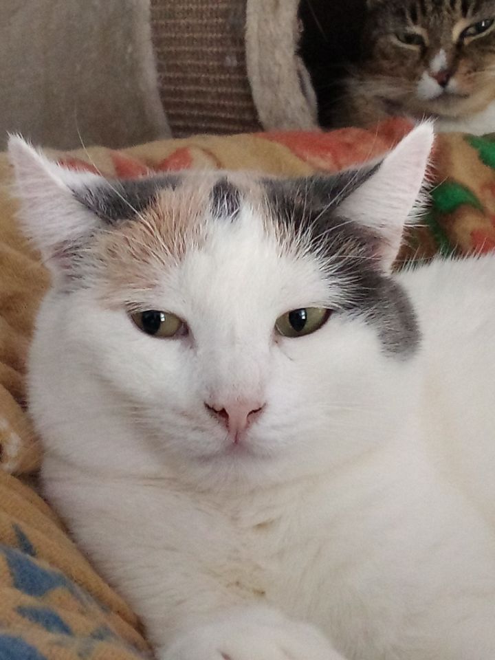 Ophelia 1