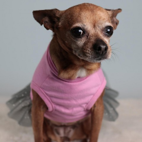 Maggie 1