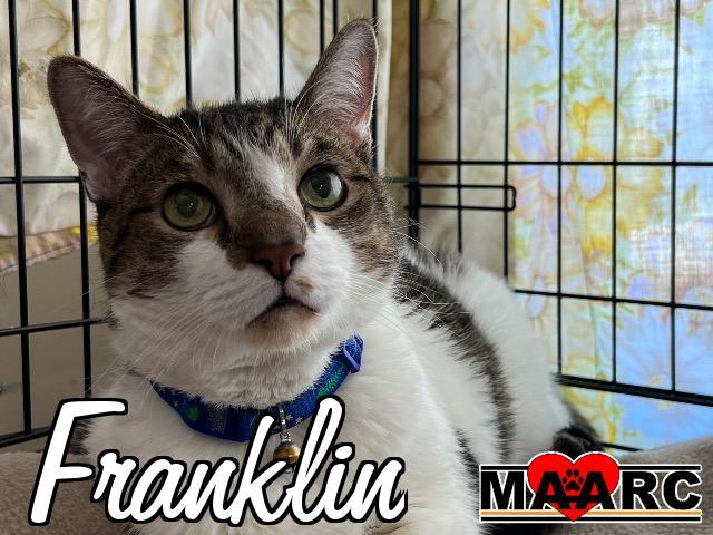 Franklin 3