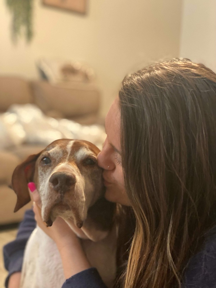 Moose, an adoptable German Shorthaired Pointer in Milton, FL, 32583 | Photo Image 3