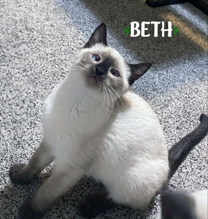 Beth 1