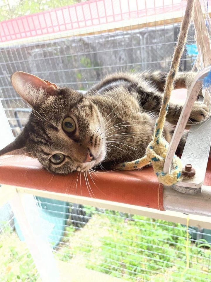 Tigger 1