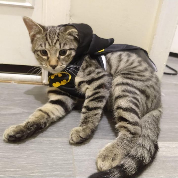 M'aiq Hyattsville 4