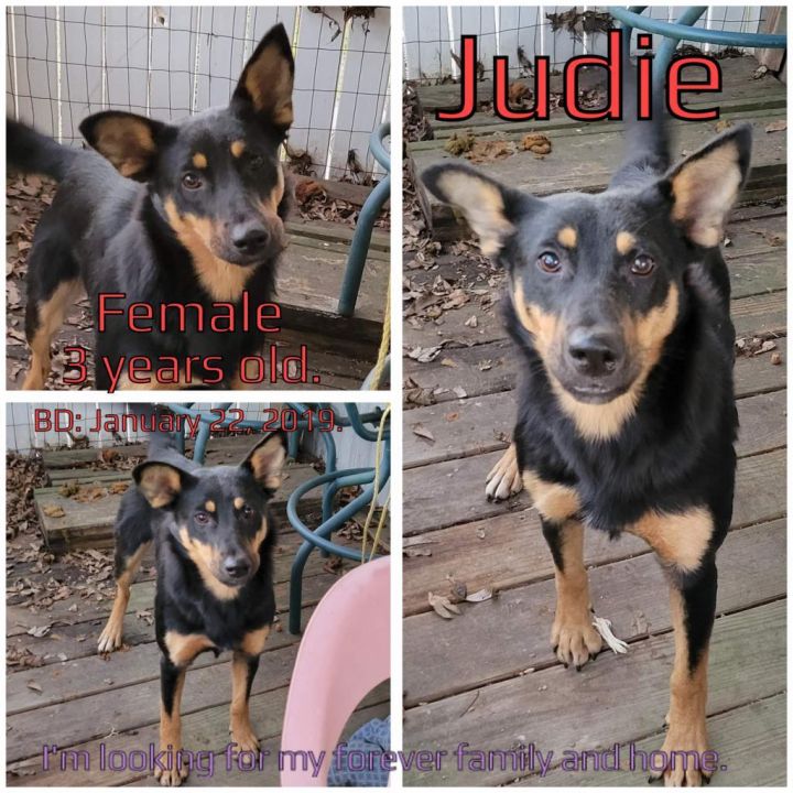 Judie 2