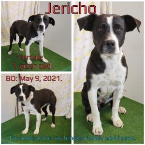 Jericho