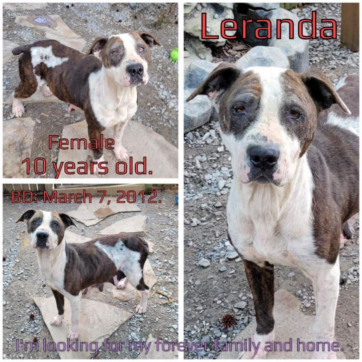 Leranda 2