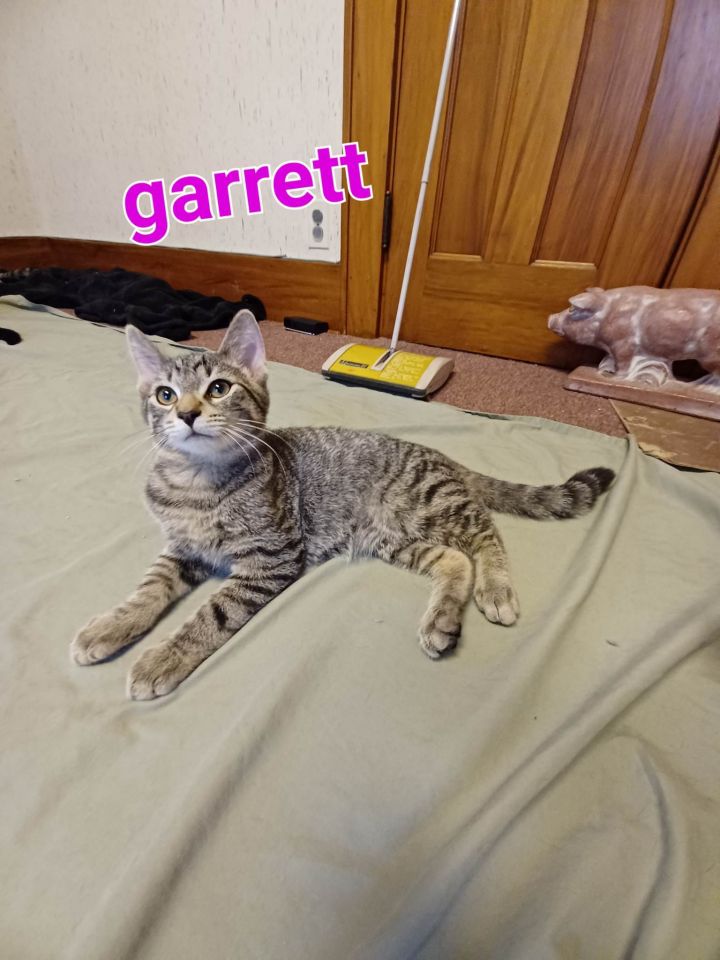 Garrett 1