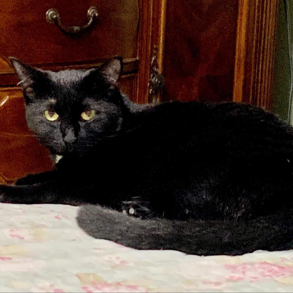 Venus