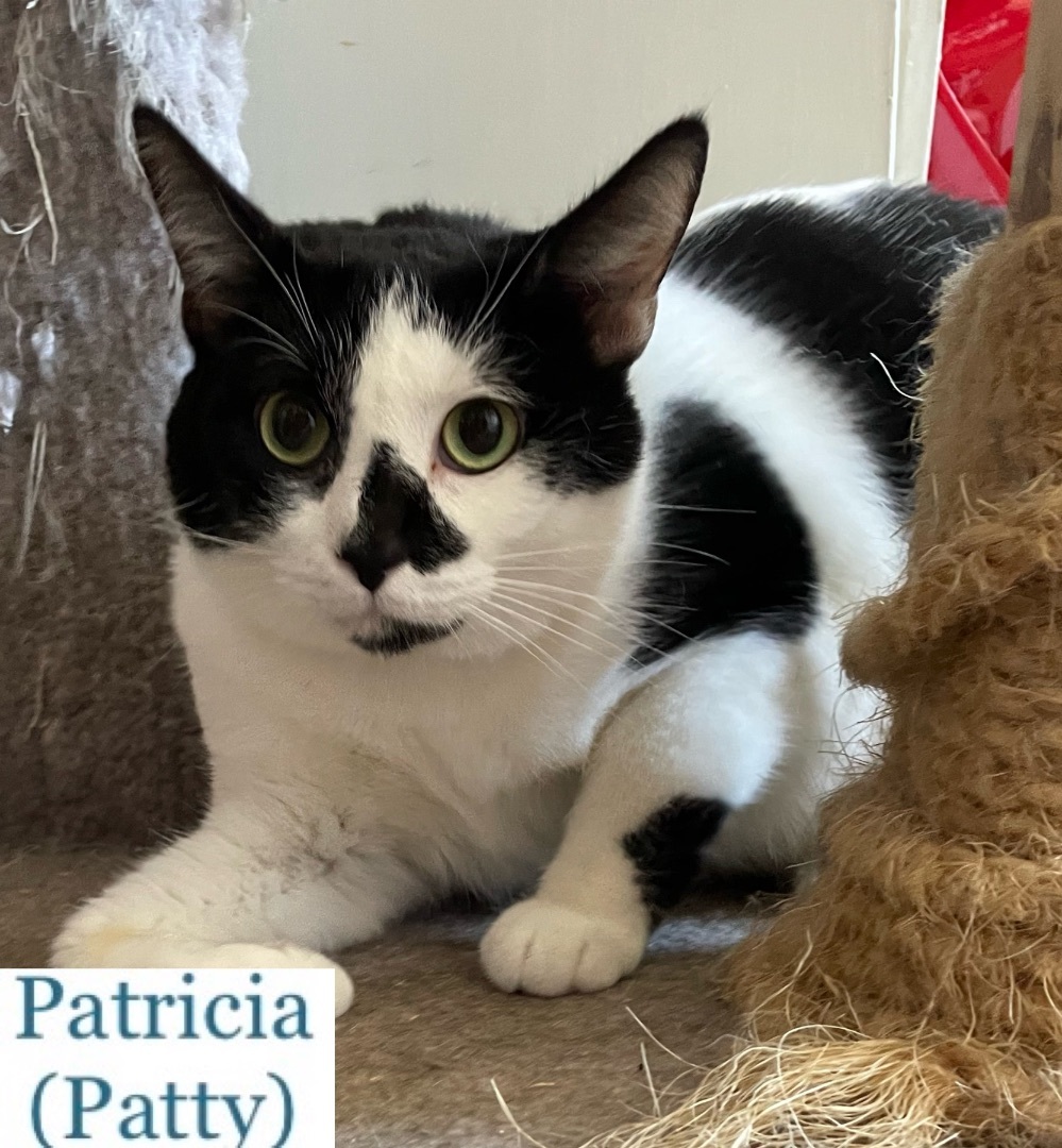 Patricia (Patty)