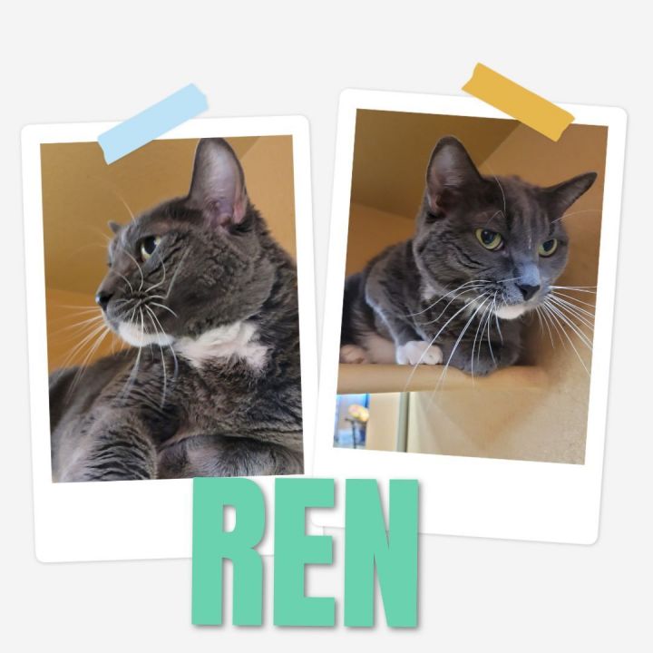 Ren 1