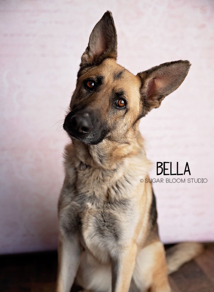 Bella 1