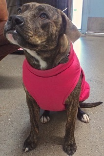 Ruby 1