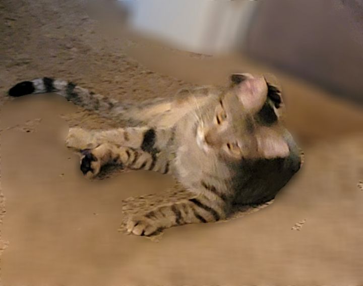 TABITHA 3