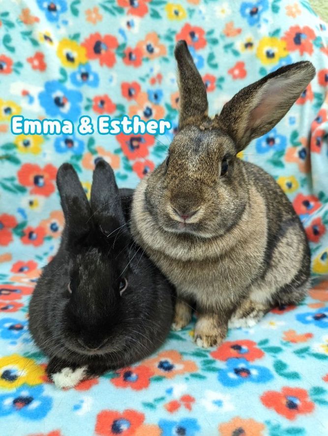 Esther (bonded with Emma)