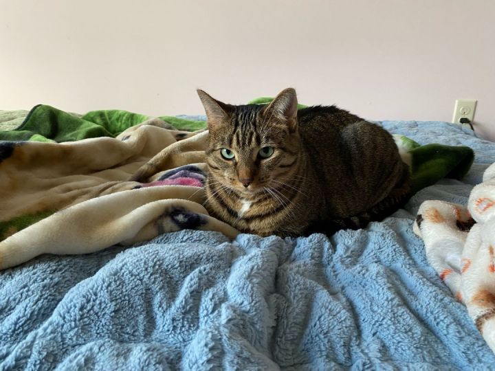 Trixie and Gizmo 1