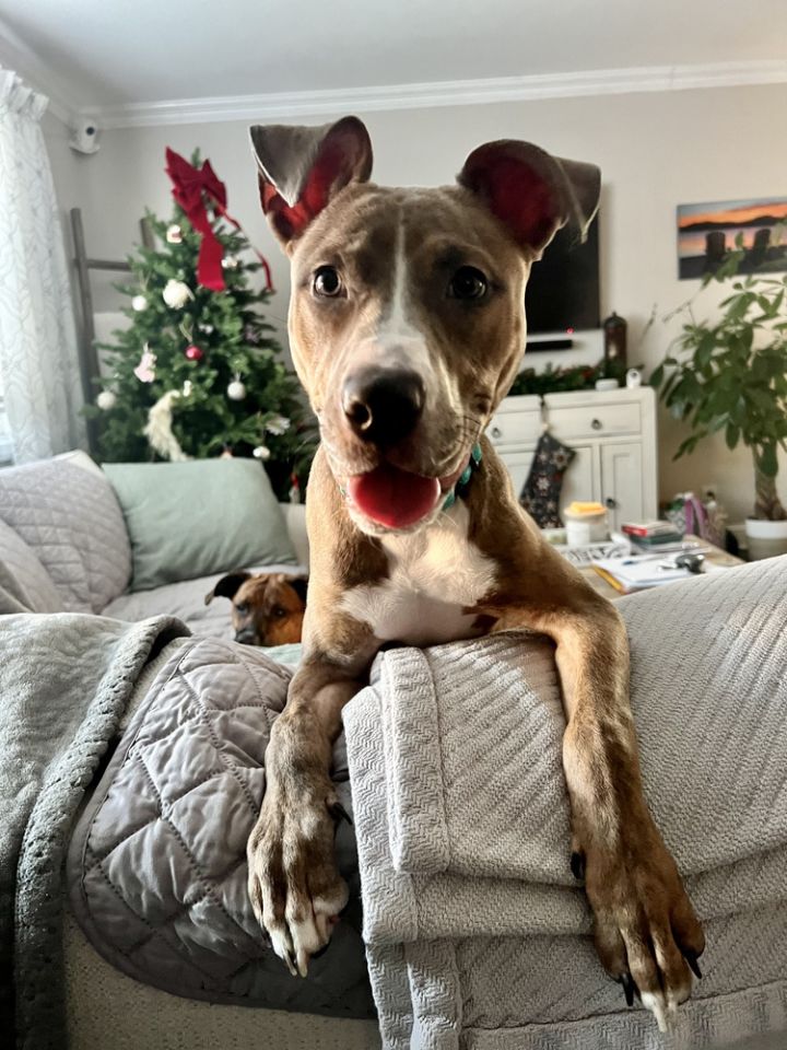 Captivating Coco 2