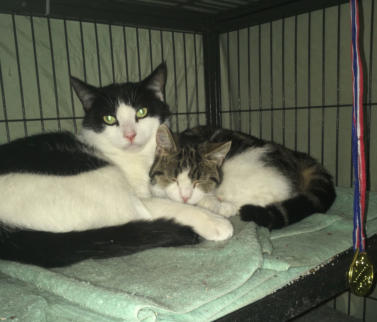 Brandon bonded with Nancy(foster too)