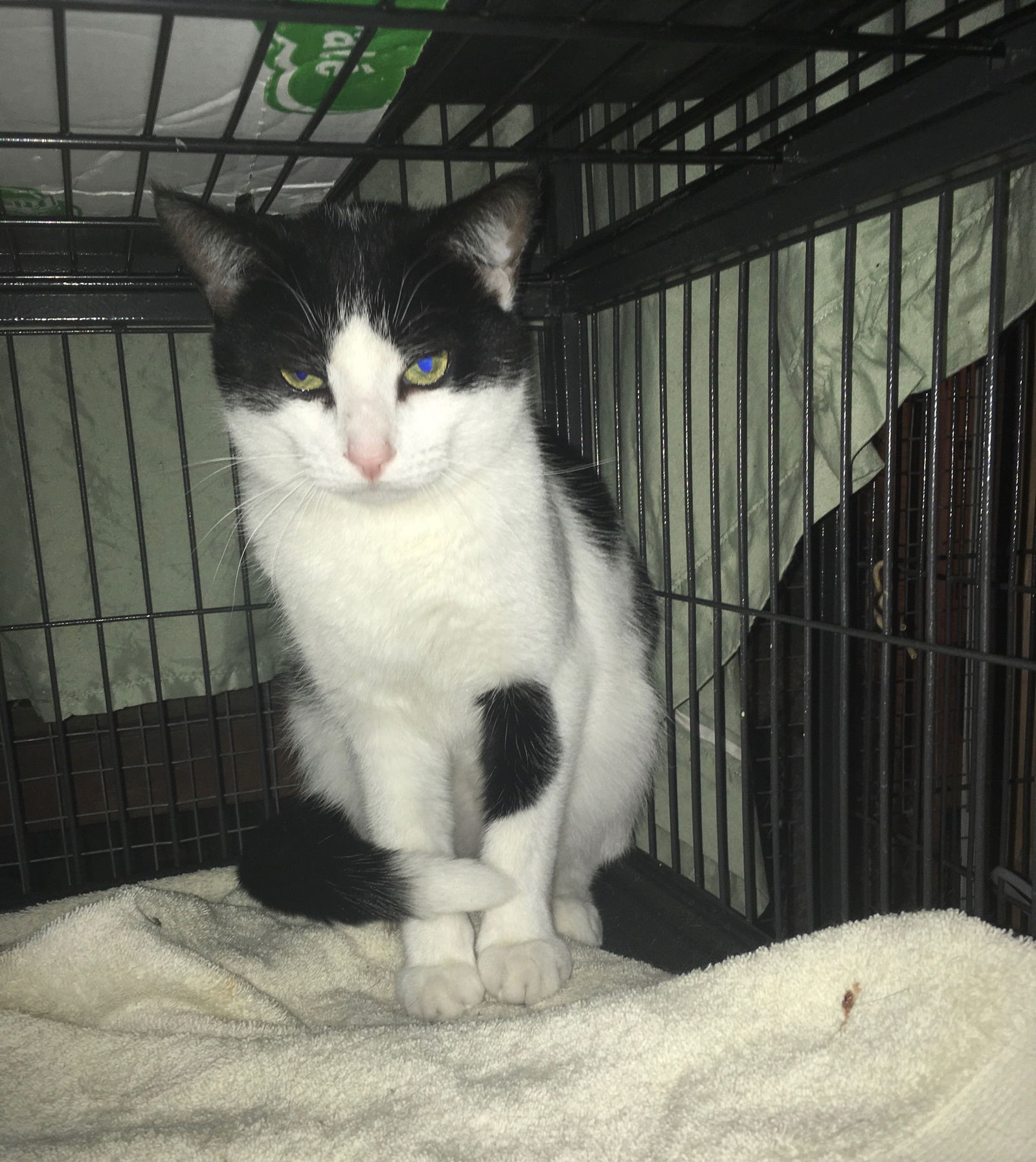 Brandon bonded with Nancy(foster too)