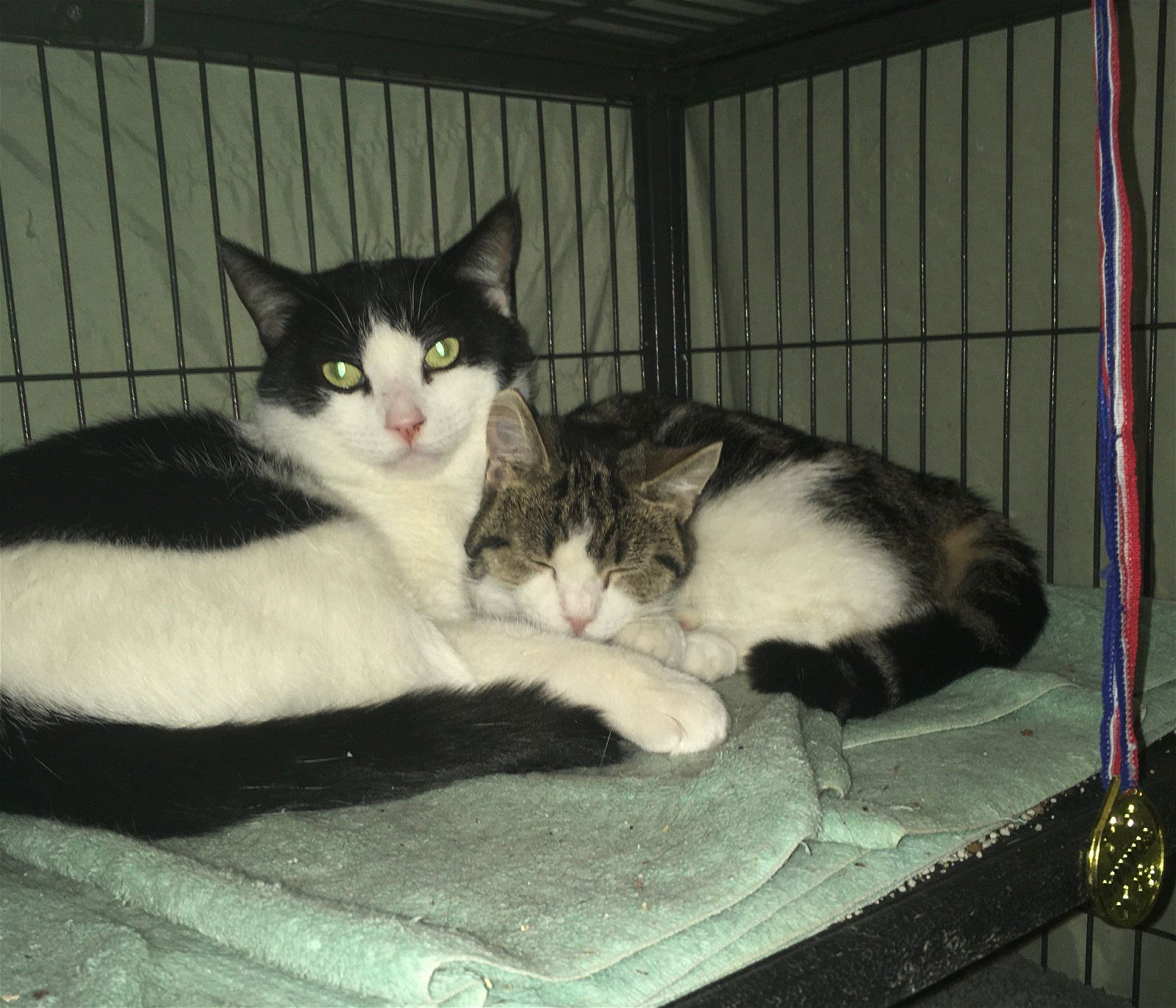 Nancy bonded with Brandon