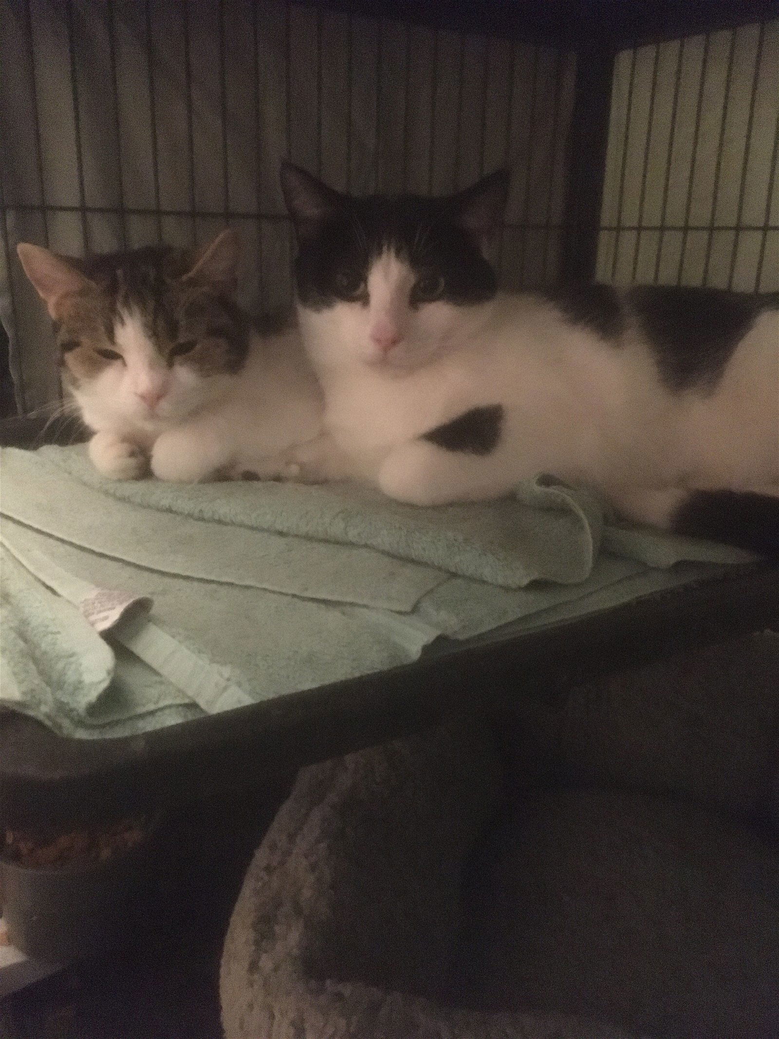 Nancy bonded with Brandon