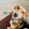 Ellie Mae
