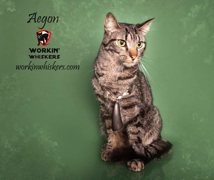 AEGON 4
