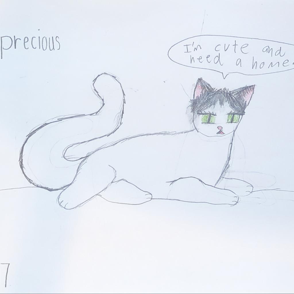 Precious, an adoptable Domestic Medium Hair in Kanab, UT, 84741 | Photo Image 2