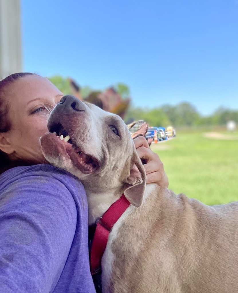 Mufassa, an adoptable Catahoula Leopard Dog in Saint Francisville, LA, 70775 | Photo Image 6