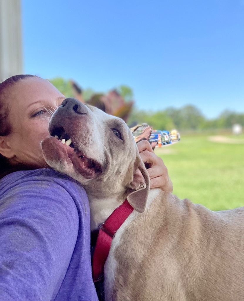 Mufassa, an adoptable Catahoula Leopard Dog in Saint Francisville, LA, 70775 | Photo Image 6