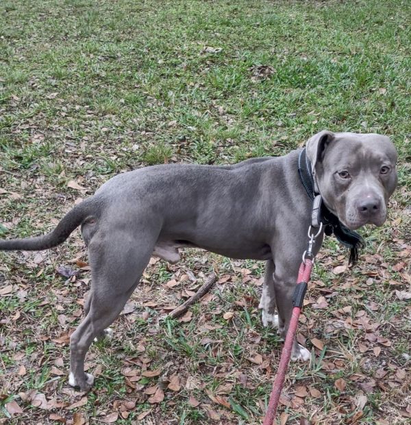 Zeus