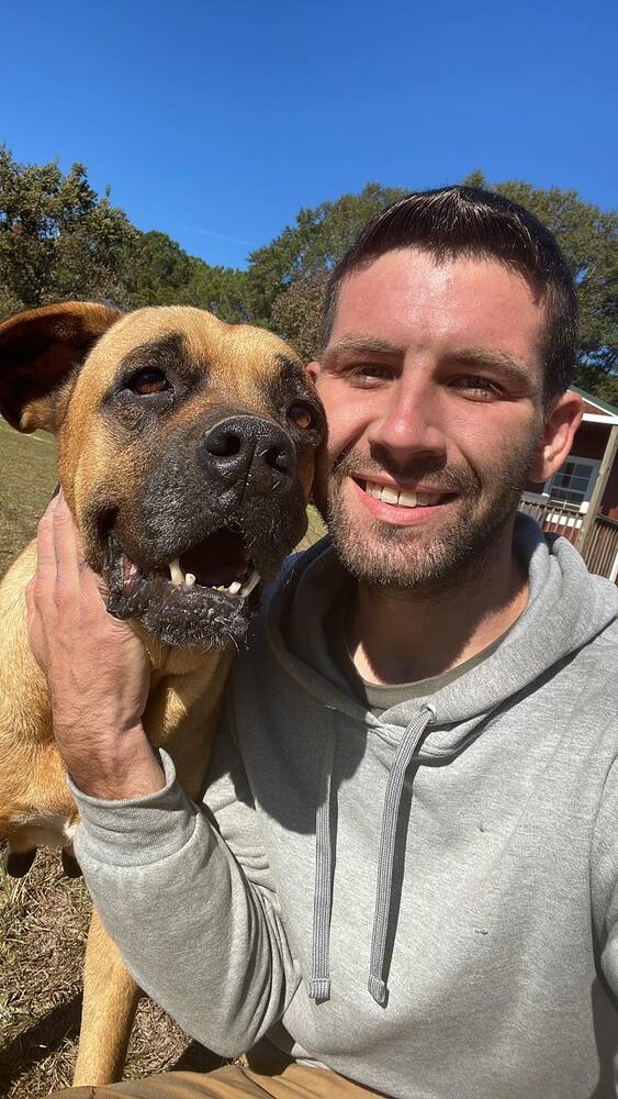 Maeve, an adoptable Rhodesian Ridgeback in Troy, AL, 36081 | Photo Image 1