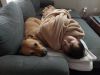 Ludo photo 5
