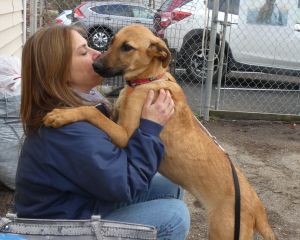 Cash (red with black snout)