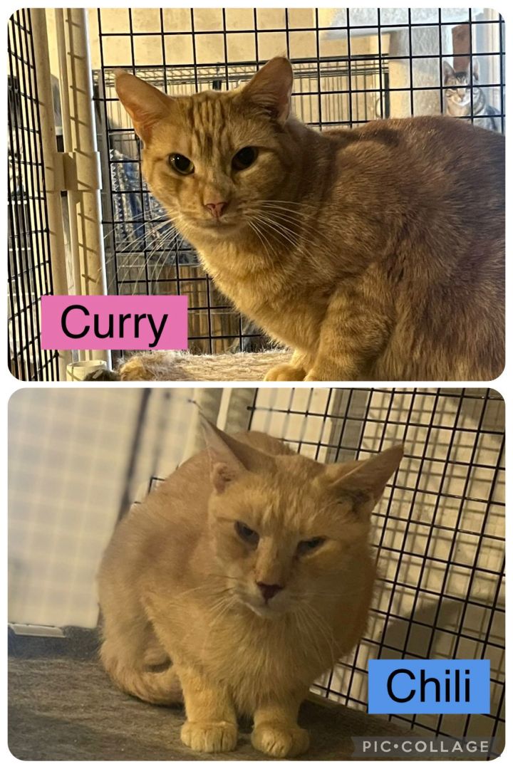 Curry-BARN PLACEMENT NEEDED 3