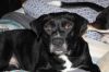 Kloe photo 2