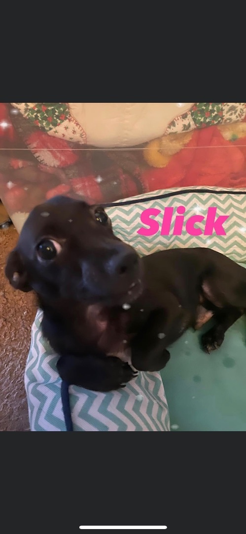 Slick 1