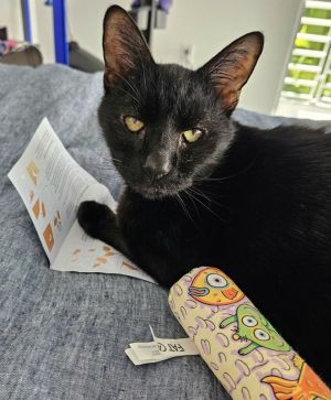 Zai, Senior Male unknown