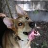 Ellie photo 3