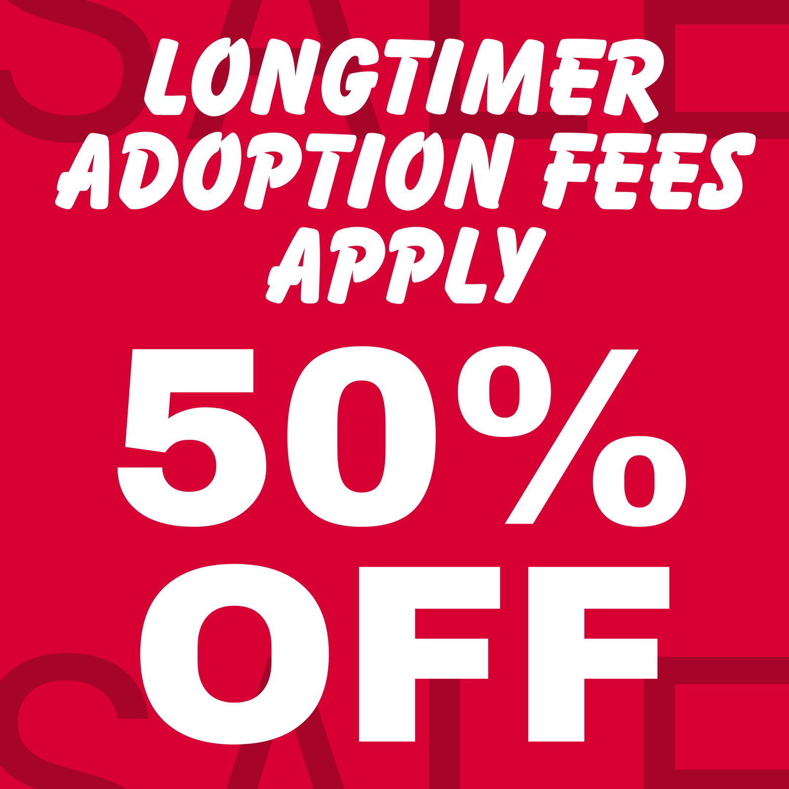 Marker, an adoptable Mixed Breed in Queen Creek, AZ, 85142 | Photo Image 3