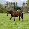 Windy photo 4
