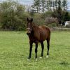Windy photo 5