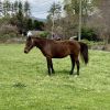 Windy photo 6