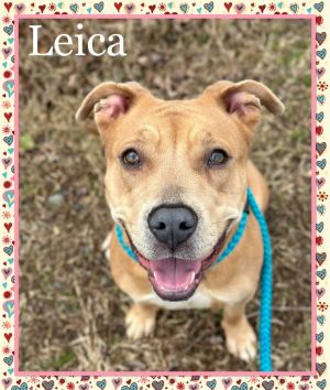 Introducing this lovely little girl we are calling Leica Leica wanted to explore the world and was 